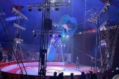 Cirkuszban