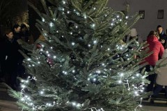 Picture3