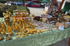 IMG_6786