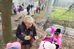 Szivarvany-Medveles-2026-februar